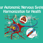 part diagram of nerves, cells, and neurons to illustrate autonomous nervous system