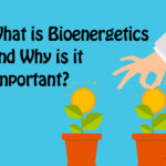grpahic of a hand tending a plant to illustrate bioenergetics