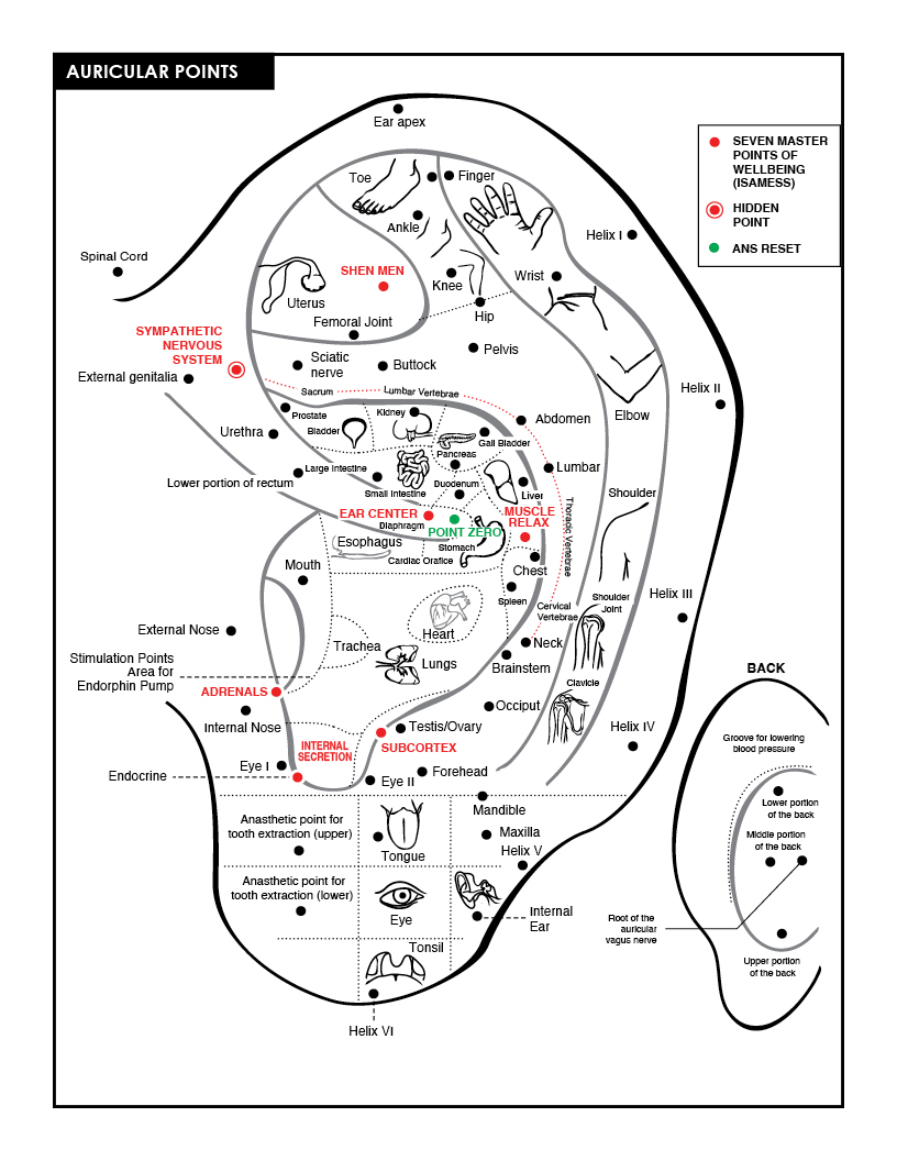Auricular Thorp Institute
