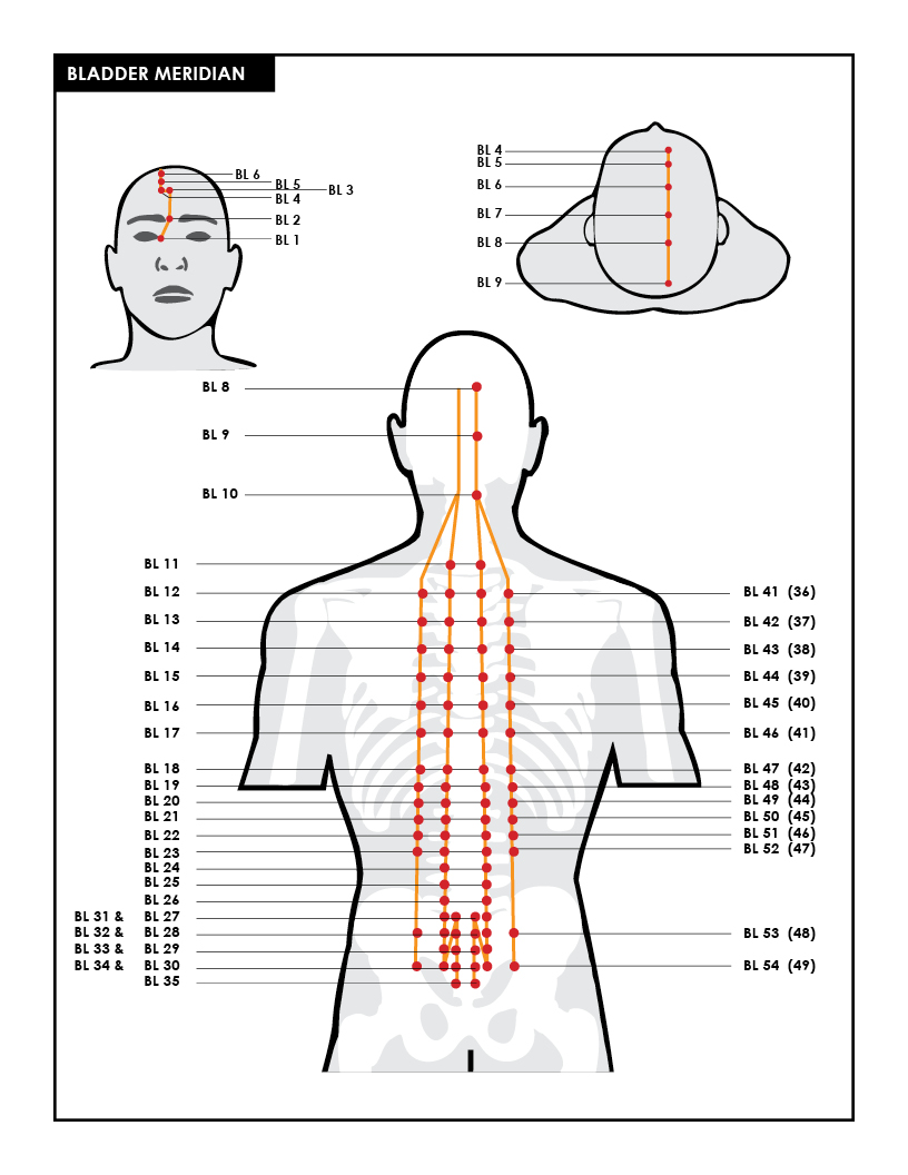 Bilateral Spinal Thorp Institute