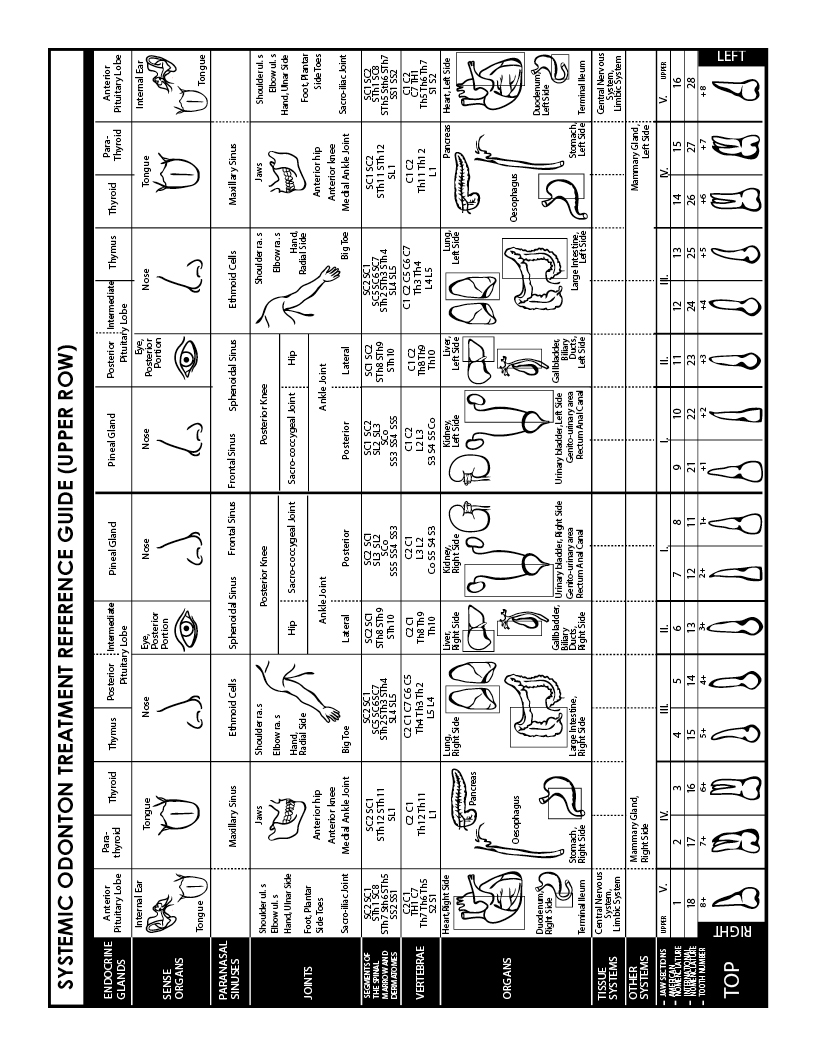 Odonton Thorp Institute